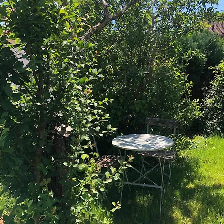 Family Home, Pleasant And Ideally Located * Gérardmer